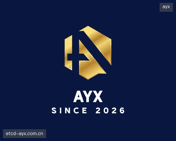 解读ayx公司